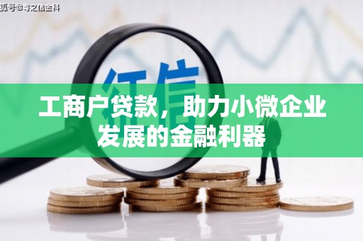 泌阳工商户贷款，助力小微企业发展的金融利器