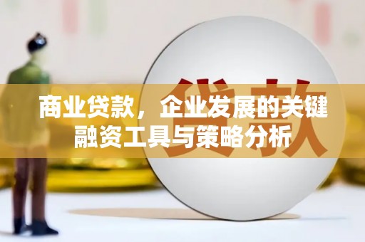 泌阳商业贷款，企业发展的关键融资工具与策略分析