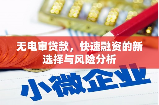 泌阳无电审贷款，快速融资的新选择与风险分析