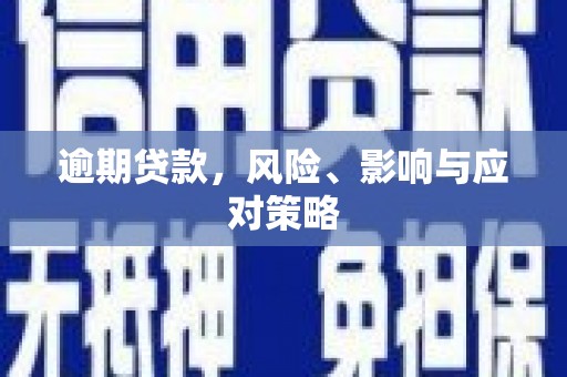 泌阳逾期贷款，风险、影响与应对策略