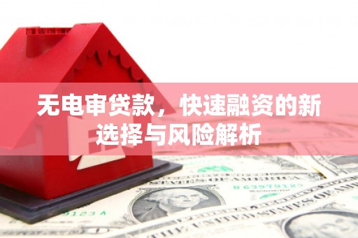 泌阳无电审贷款，快速融资的新选择与风险解析