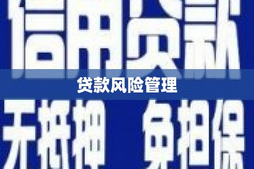 泌阳贷款风险管理