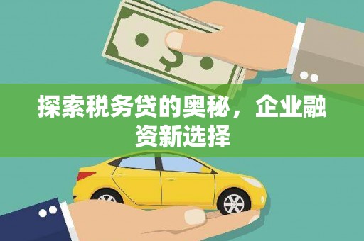 泌阳探索税务贷的奥秘，企业融资新选择