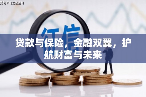 泌阳贷款与保险，金融双翼，护航财富与未来