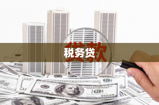 泌阳税务贷