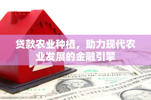泌阳贷款农业种植，助力现代农业发展的金融引擎