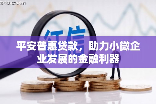 泌阳平安普惠贷款，助力小微企业发展的金融利器
