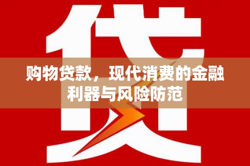 泌阳购物贷款，现代消费的金融利器与风险防范