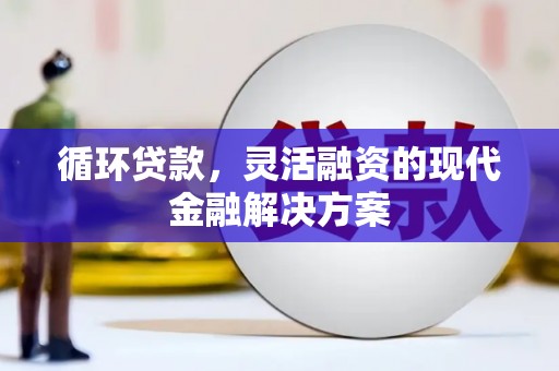 泌阳循环贷款，灵活融资的现代金融解决方案