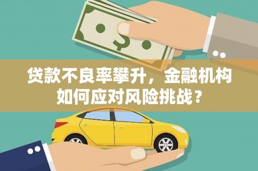 泌阳贷款不良率攀升，金融机构如何应对风险挑战？