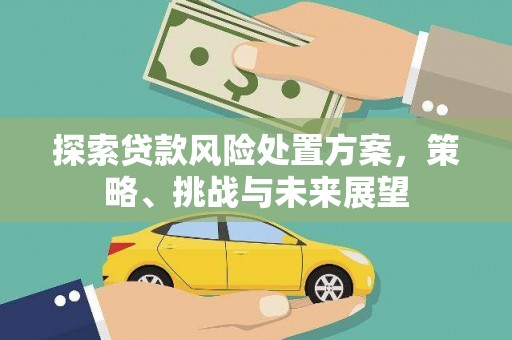 泌阳探索贷款风险处置方案，策略、挑战与未来展望