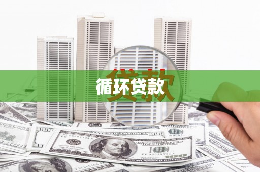 泌阳循环贷款