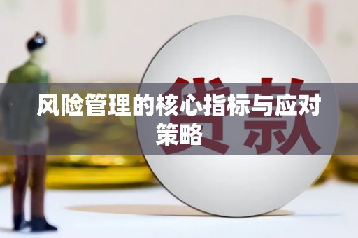 泌阳风险管理的核心指标与应对策略