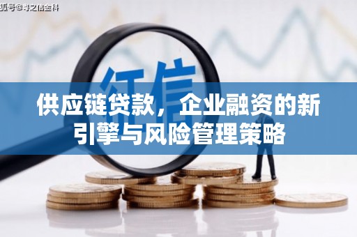 泌阳供应链贷款，企业融资的新引擎与风险管理策略