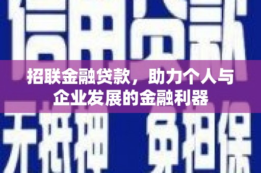 泌阳招联金融贷款，助力个人与企业发展的金融利器