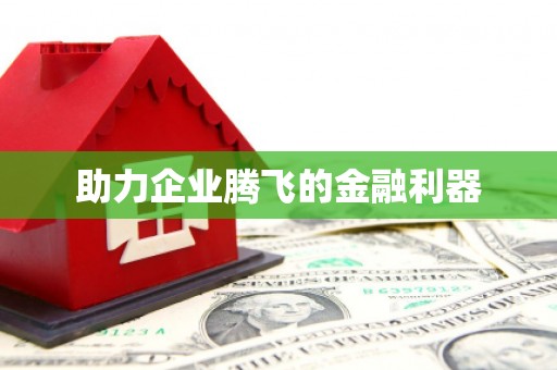 泌阳助力企业腾飞的金融利器