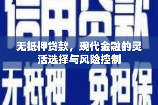 泌阳无抵押贷款，现代金融的灵活选择与风险控制