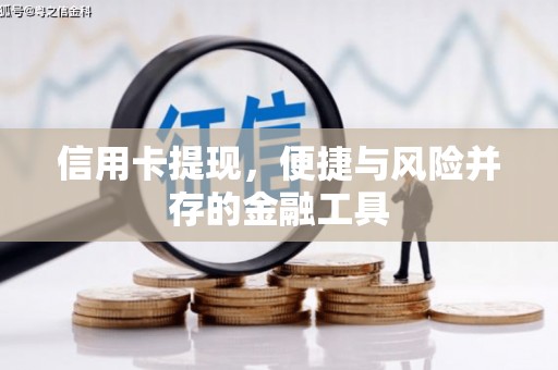 泌阳信用卡提现，便捷与风险并存的金融工具