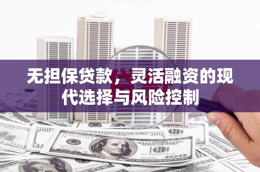 泌阳无担保贷款，灵活融资的现代选择与风险控制