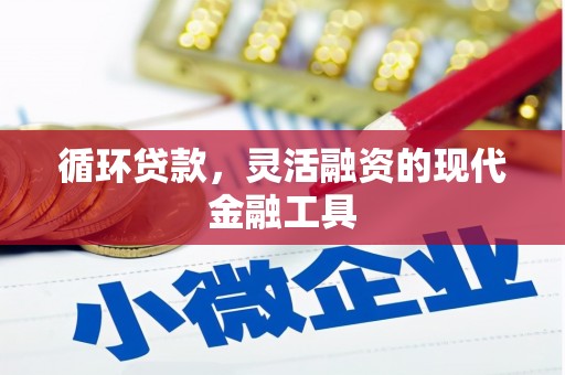 泌阳循环贷款，灵活融资的现代金融工具
