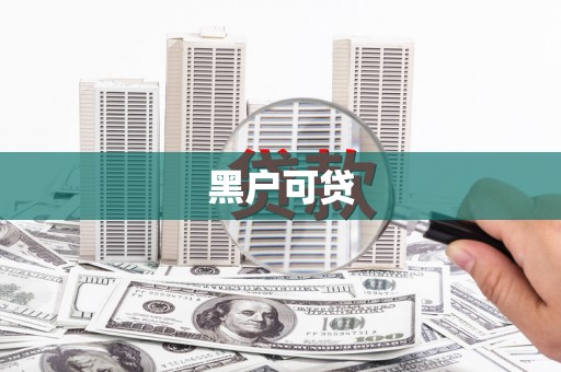 泌阳黑户可贷