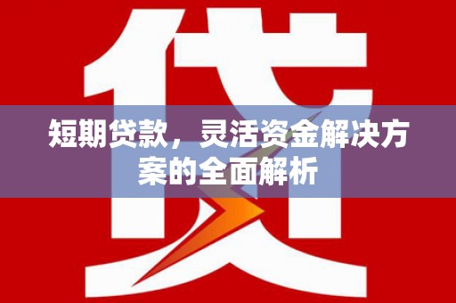 泌阳短期贷款，灵活资金解决方案的全面解析