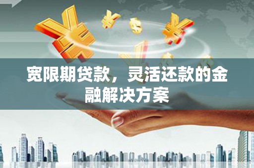 泌阳宽限期贷款，灵活还款的金融解决方案