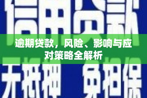 泌阳逾期贷款，风险、影响与应对策略全解析