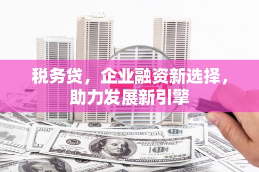 泌阳税务贷，企业融资新选择，助力发展新引擎