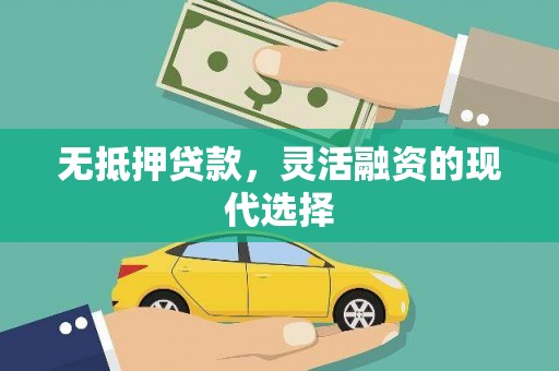 泌阳无抵押贷款，灵活融资的现代选择