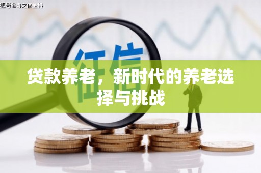 泌阳贷款养老，新时代的养老选择与挑战