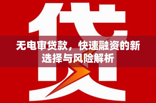 泌阳无电审贷款，快速融资的新选择与风险解析