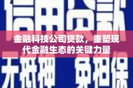 泌阳金融科技公司贷款，重塑现代金融生态的关键力量