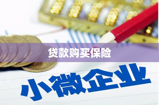 泌阳贷款购买保险