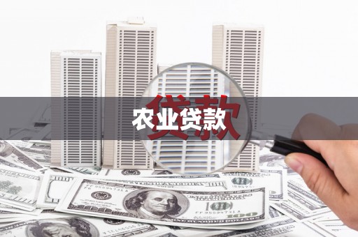 泌阳农业贷款