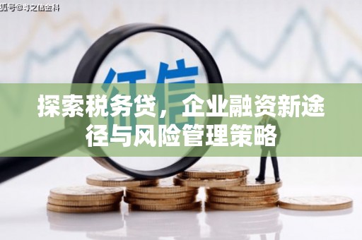 泌阳探索税务贷，企业融资新途径与风险管理策略