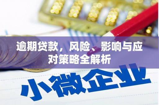 泌阳逾期贷款，风险、影响与应对策略全解析