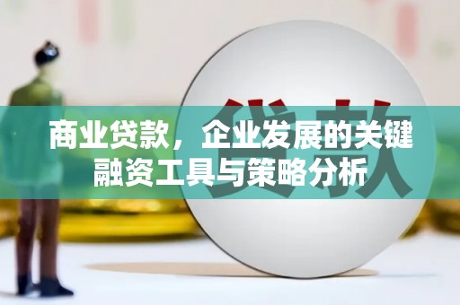 泌阳商业贷款，企业发展的关键融资工具与策略分析