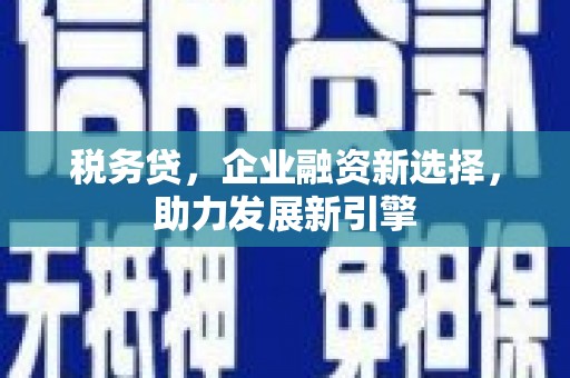 泌阳税务贷，企业融资新选择，助力发展新引擎