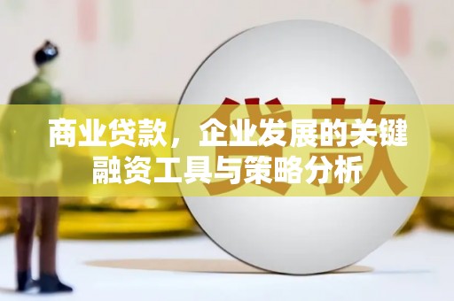 泌阳商业贷款，企业发展的关键融资工具与策略分析