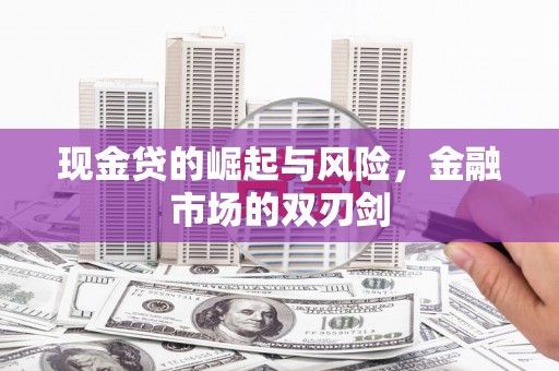 泌阳现金贷的崛起与风险，金融市场的双刃剑