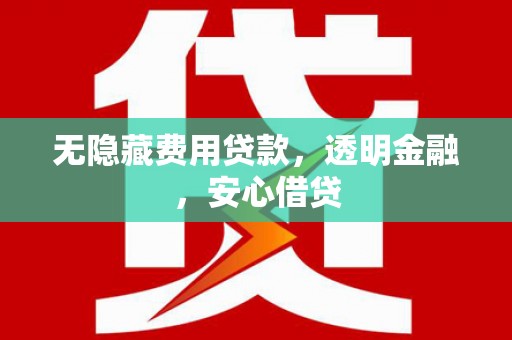 泌阳无隐藏费用贷款，透明金融，安心借贷