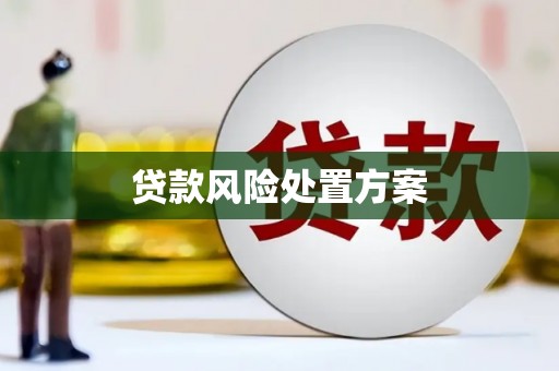 泌阳贷款风险处置方案