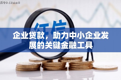 泌阳企业贷款，助力中小企业发展的关键金融工具