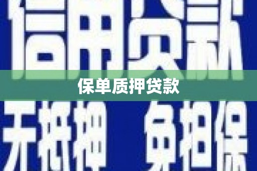 泌阳保单质押贷款