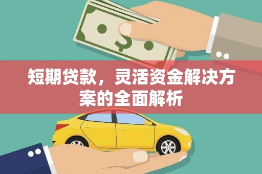 泌阳短期贷款，灵活资金解决方案的全面解析