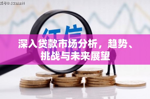泌阳深入贷款市场分析，趋势、挑战与未来展望