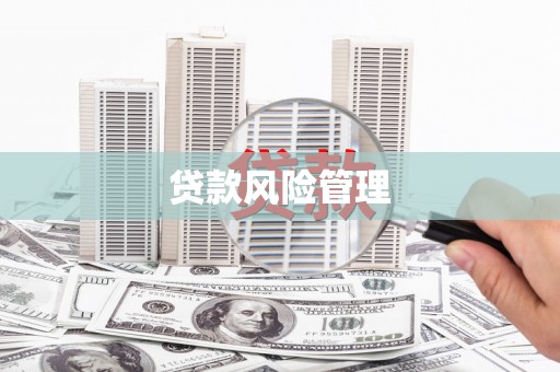 泌阳贷款风险管理