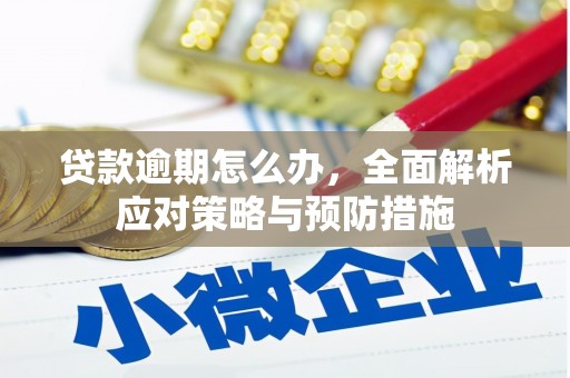 泌阳贷款逾期怎么办，全面解析应对策略与预防措施