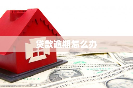 泌阳贷款逾期怎么办